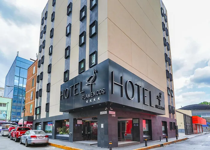 Hotel Flamencos Centro Historico